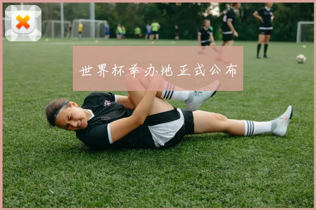 世界杯举办地正式公布