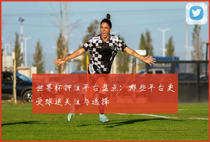 世界杯押注平台盘点:哪些平台更受球迷关注与选择
