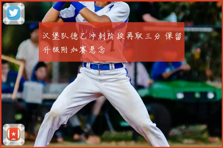 汉堡队德乙冲刺阶段再取三分 保留升级附加赛悬念
