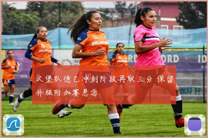 汉堡队德乙冲刺阶段再取三分 保留升级附加赛悬念