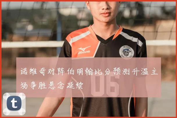 诺维奇对阵伯明翰比分预测升温主场争胜悬念延续