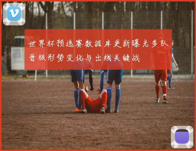 世界杯预选赛数据库更新曝光多队晋级形势变化与出线关键战
