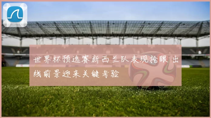 世界杯预选赛新西兰队表现抢眼 出线前景迎来关键考验
