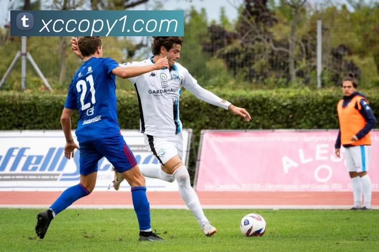 易倍emc(中国)官方网站 - 塑造体育新生态品牌故事